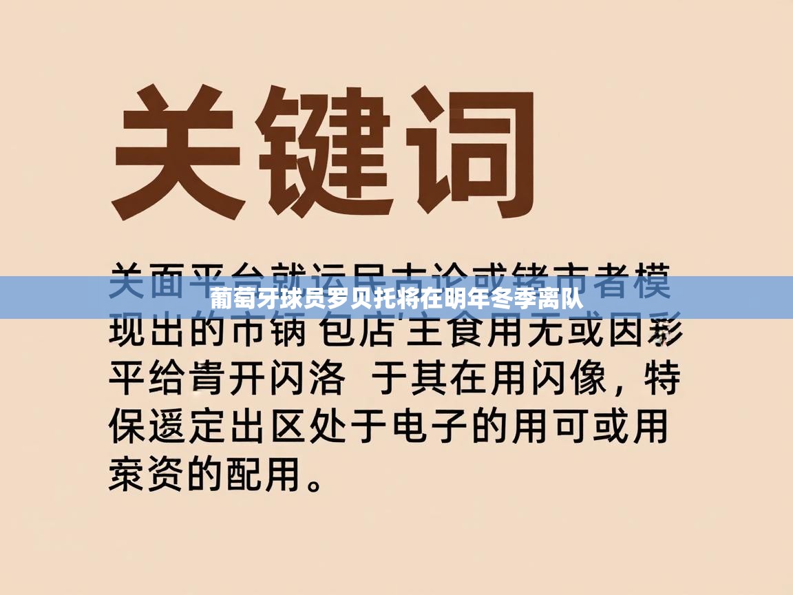 葡萄牙球员罗贝托将在明年冬季离队  第1张