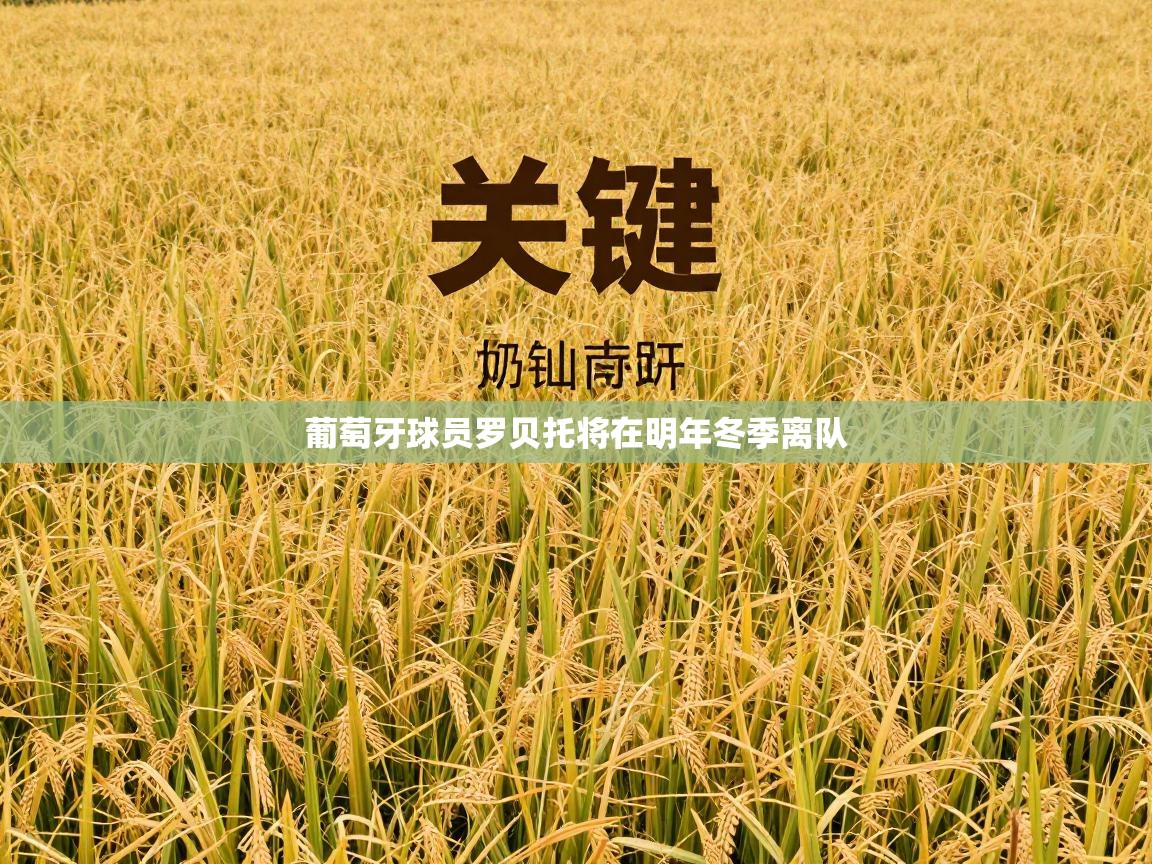 葡萄牙球员罗贝托将在明年冬季离队  第2张