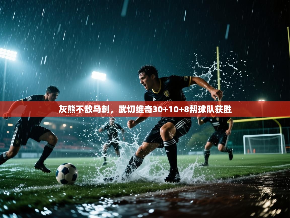灰熊不敌马刺,武切维奇30+10+8帮球队获胜 第2张